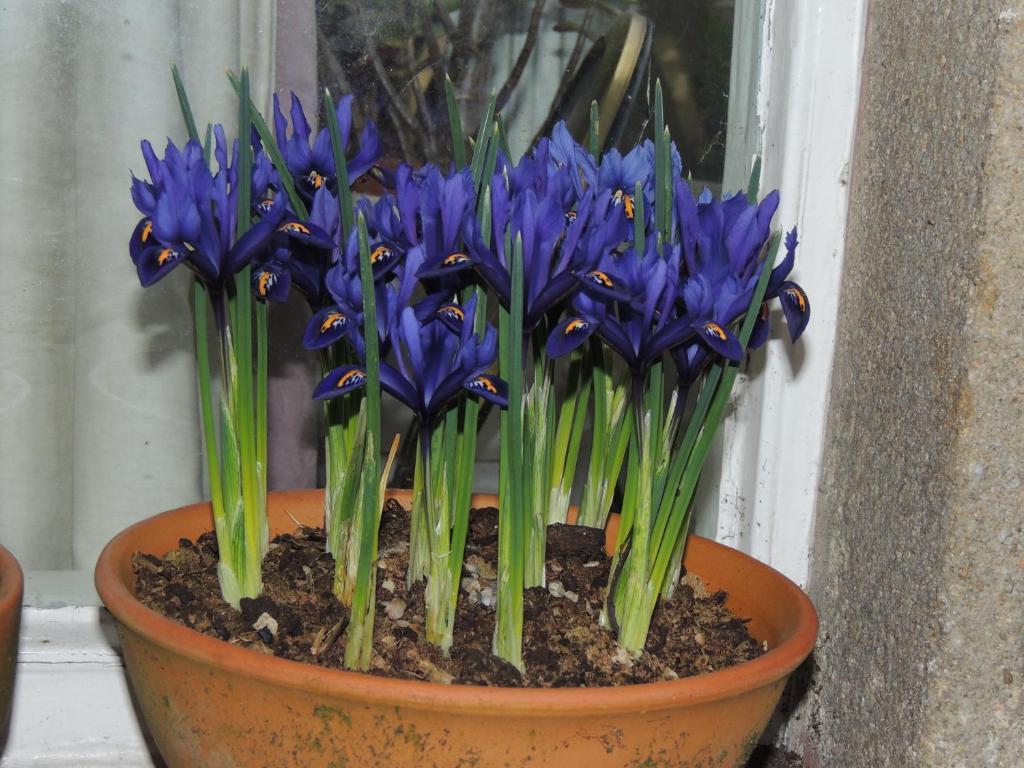 Spring Lodge Harrogate Zewnętrze zdjęcie